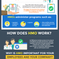 Everything You Have to Know About Health Maintenance Organizations (INFOGRAPHIC)