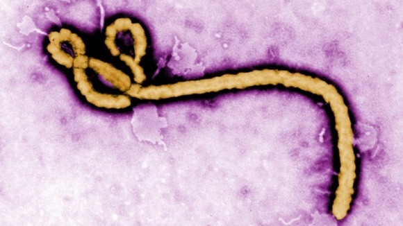 Ebola Virus Transmission And Treatment