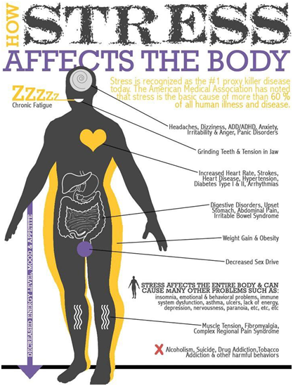 Effect of Stress on the Body