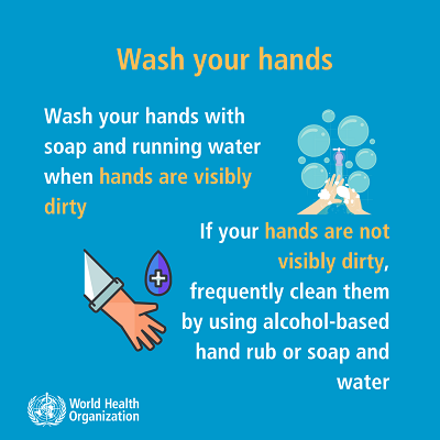 wash your hands (proper hygiene)
